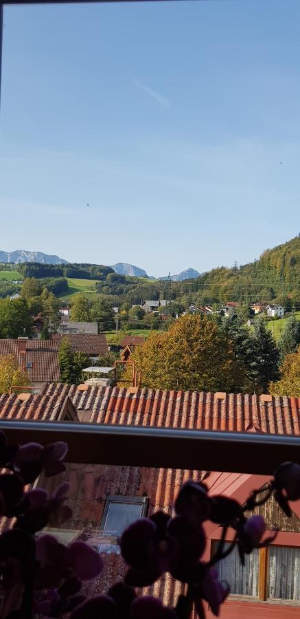 Auszeit Am Traunsee Altmuenster Exterior photo